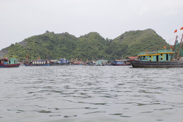 Fototapeta premium HA LONG BAY, VIETNAM - NOVEMBER 13, 2018: Halong Bay, Vietnam. Unesco World Heritage Site. Traditional tourist boats.