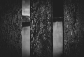Black woodgrain panel background derived from natural tree