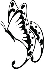 black and white butterfly