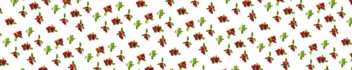 Lingonberry background on white backdrop. Fresh cowberries or cranberries with leaves as background