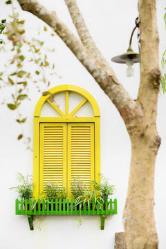 Wooden window behide tree in garden