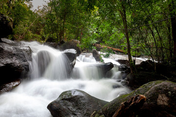 Suoi tranh phu quoc waterfall in the forest