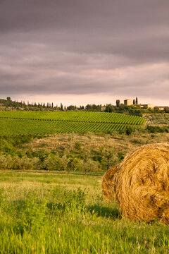 farm in the tuscany at sunset
