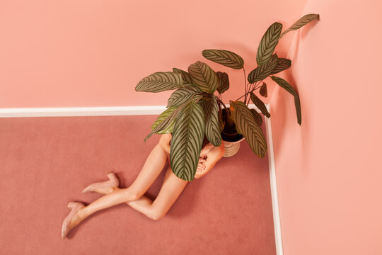 woman in a pink room hiding behind a plant