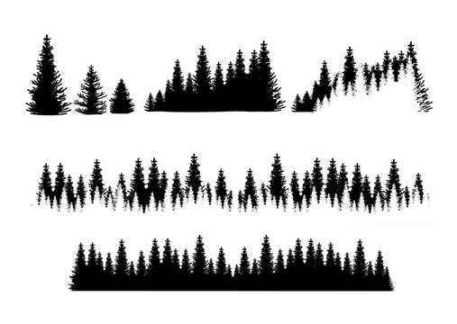 Set of forest silhouetts. Tree collection, Forest silhouette, isolated on white, vector illustration.