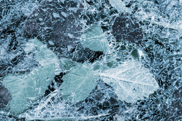 Frozen leaves are under thin ice layer, winter season