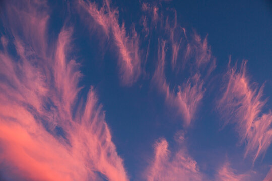 Vibrant summer sunset.