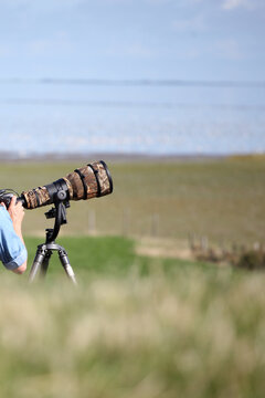 Fototapeta Birdphotography