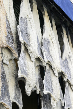Stock fish skin hanging in Porto, Portugal
