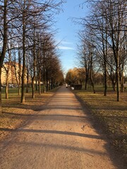 Obraz premium autumn in the park