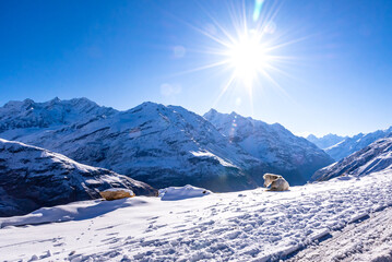 Mesmerizing view en-route to snow covered Rohtang pass on leh Manali highway, Himachal Pradesh,...
