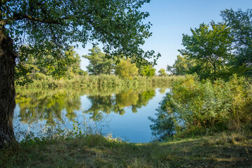 Fototapeta na wymiar Autumn landscape, vegetation along the river