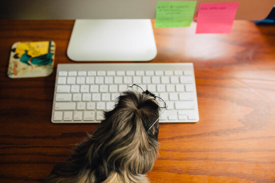 Office Assistant