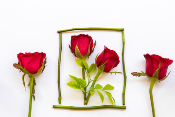 colorful red rose flowers arrangement flat lay postcard style on background white 