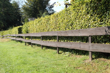 Fototapeta premium a beautiful garden fence made of wood