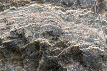 Serpentinite with chrysotile asbestos. Mineral composition is serpentine, chrysotile asbestos, magnetite, lizardite. Composed of long and thin fibrous crystals. Selective focus.