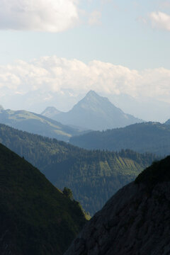 Alpine Foothills