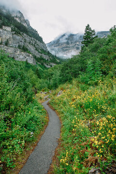 Hiking Trail in Wasatch Mountain Range