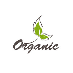 Organic natural product icon and elements vector