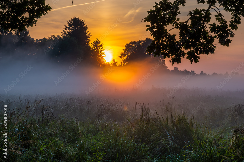 Wall mural wonderful, misty sunrise over a meadow in the swidwie reserve in poland