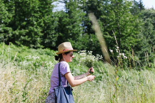 Woman picking plants fot the tea