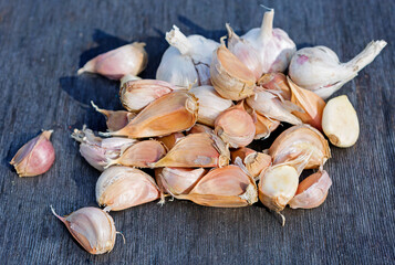 Garlic.
 Disassembled garlic cloves ready for planting in the ground.