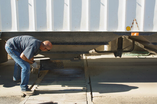 truck driver unloads wheat from trailer