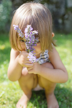 Little girl hides behind the lavender flowers