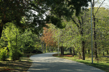 Beautiful city park in bright sunny morning