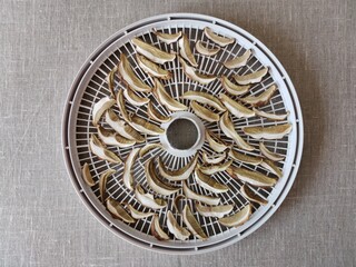 dried mushrooms on a drying baking counter on burlap background