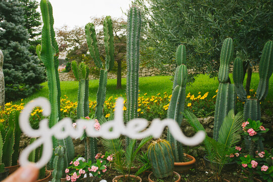 Papercut letters in the garden