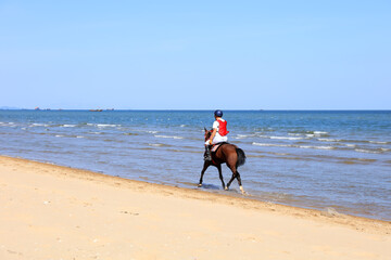 Race horse and jockey galloping on the beach