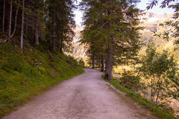 Waldweg in Tirol 