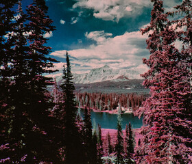 Hayden Ridge Infrared, High Uintas