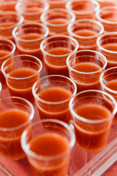 Gaspacho Cups