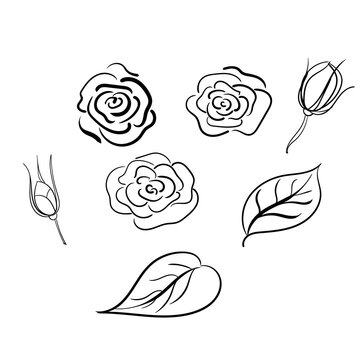 Set of rose buds and petals. Vector, contour, sketch, freehand drawing. Use for coloring pages, packaging, banners, web design, advertising.
