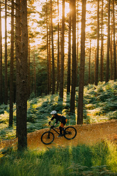 A woman cycling down a sandy forest path at sunset