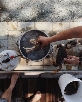 Cooking Crab (Yummy)