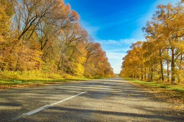 Obraz premium beautiful autumn road for travel