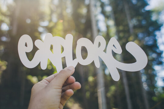 Explore word in the forest