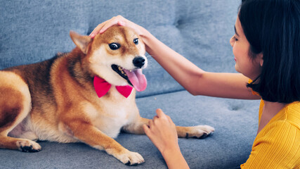 Happy woman and shiba inu dog sitting together on a sofa at home