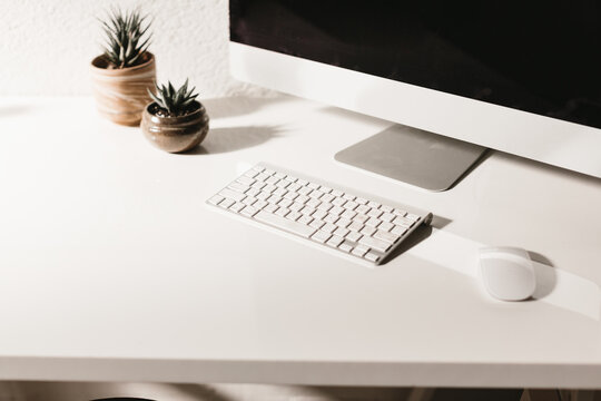desktop computer in bright modern workspace with succulent plants