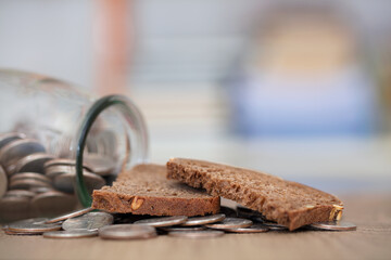 The concept of expenses necessary for life