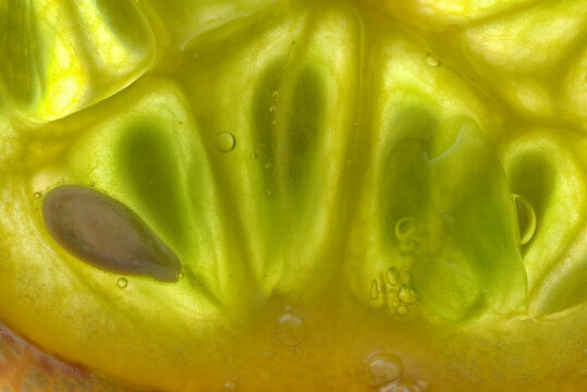 Closeup of interior seeds and chambers of a kiwano fruit (Cucumis metuliferus)