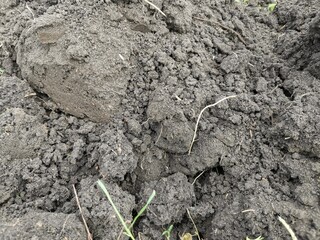 full-frame image of black earth, excavation of the ground