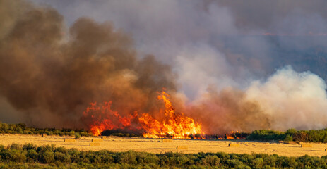 Fototapeta premium Spectacular long shot of firefighters in the first line