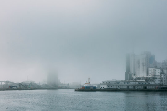 The fog