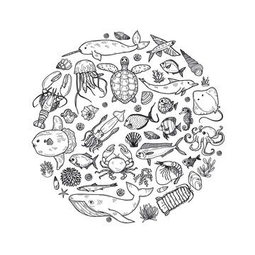 Round composition with cute hand drawn marine animals, fish and shells. Vector.  May use as coloring page. 