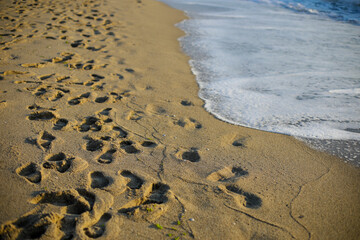 Human footprints on the sand of a beach during a peaceful late summer sunrise.