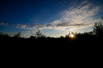 Sun rising over trees in the countryside with moody sky and clouds